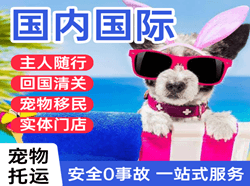 锡林浩特航空邮寄国际宠物托运 【国